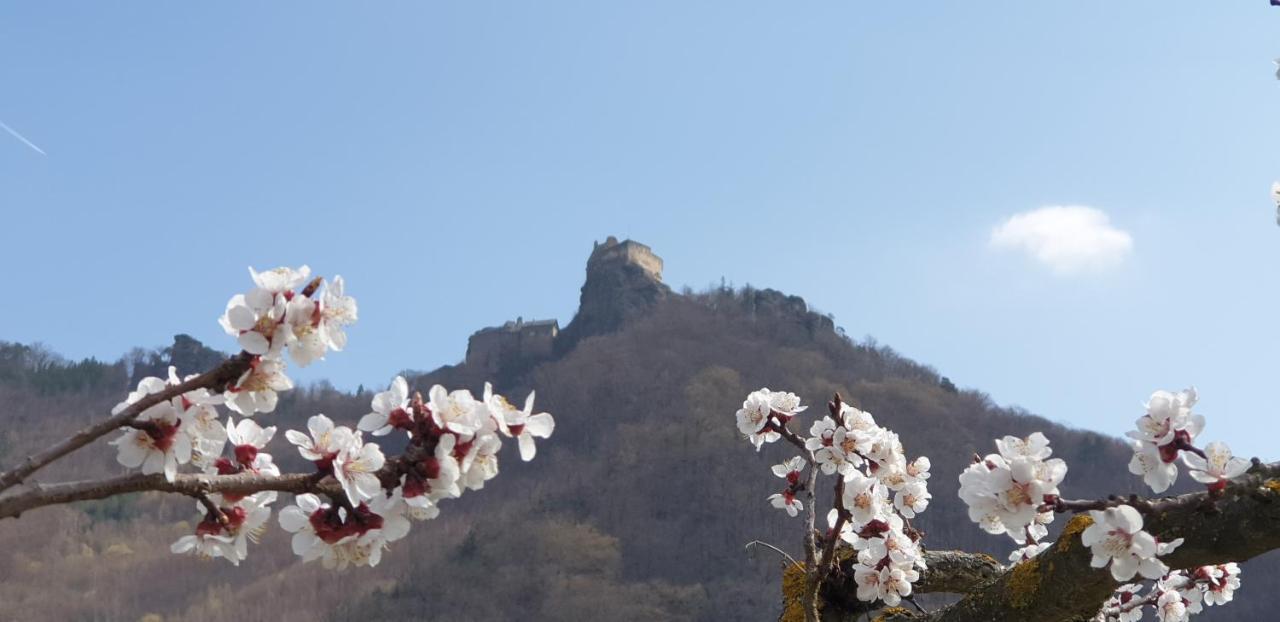 Donauwirt - Hotel Garni Weissenkirchen in der Wachau Esterno foto