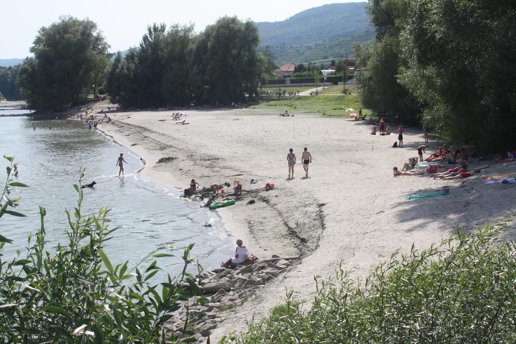Donauwirt - Hotel Garni Weissenkirchen in der Wachau Esterno foto
