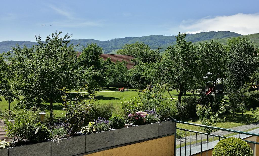 Donauwirt - Hotel Garni Weissenkirchen in der Wachau Esterno foto