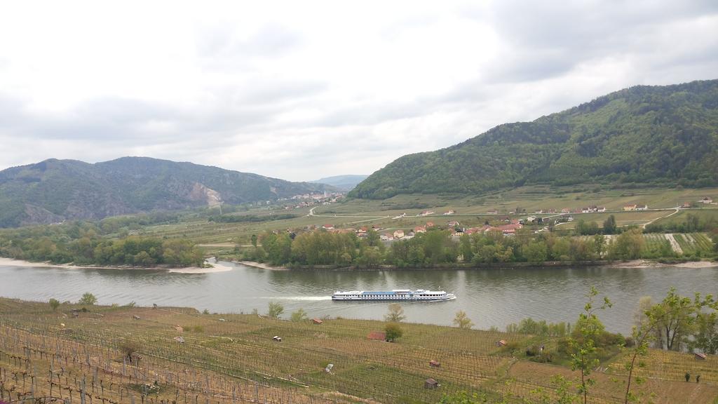 Donauwirt - Hotel Garni Weissenkirchen in der Wachau Esterno foto